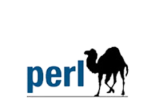 logo techno Perl